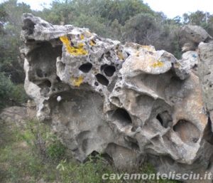 Rocce naturali per giardini